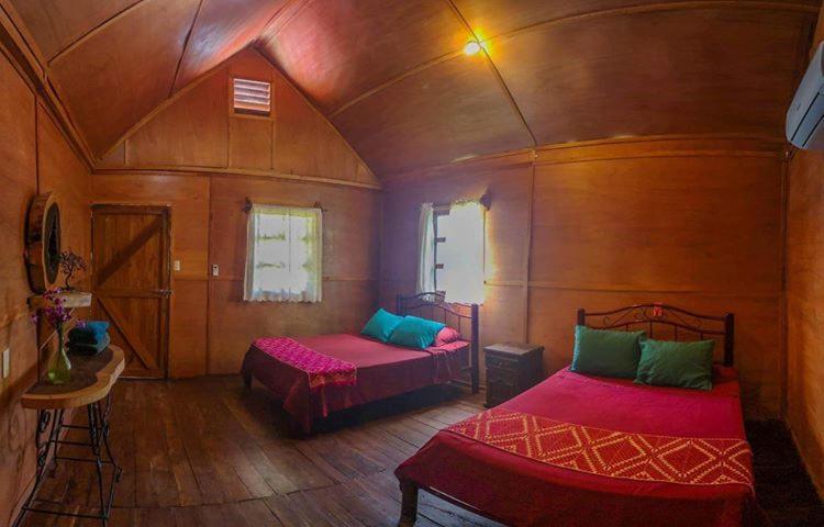 Green Monkey Hostel Bacalar Exterior foto